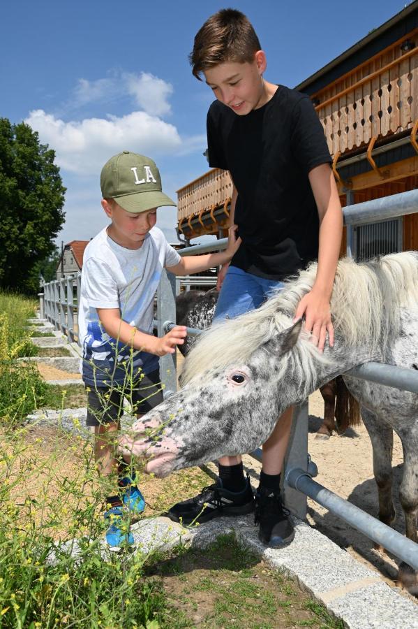 Familien- Und Apartmenthotel Lerchenberghof Walddorf  エクステリア 写真