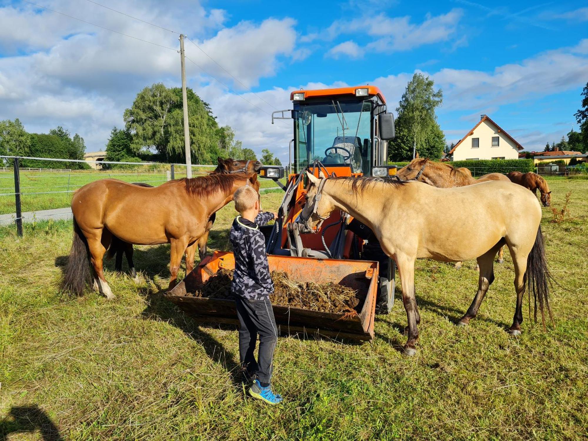 Familien- Und Apartmenthotel Lerchenberghof Walddorf  エクステリア 写真