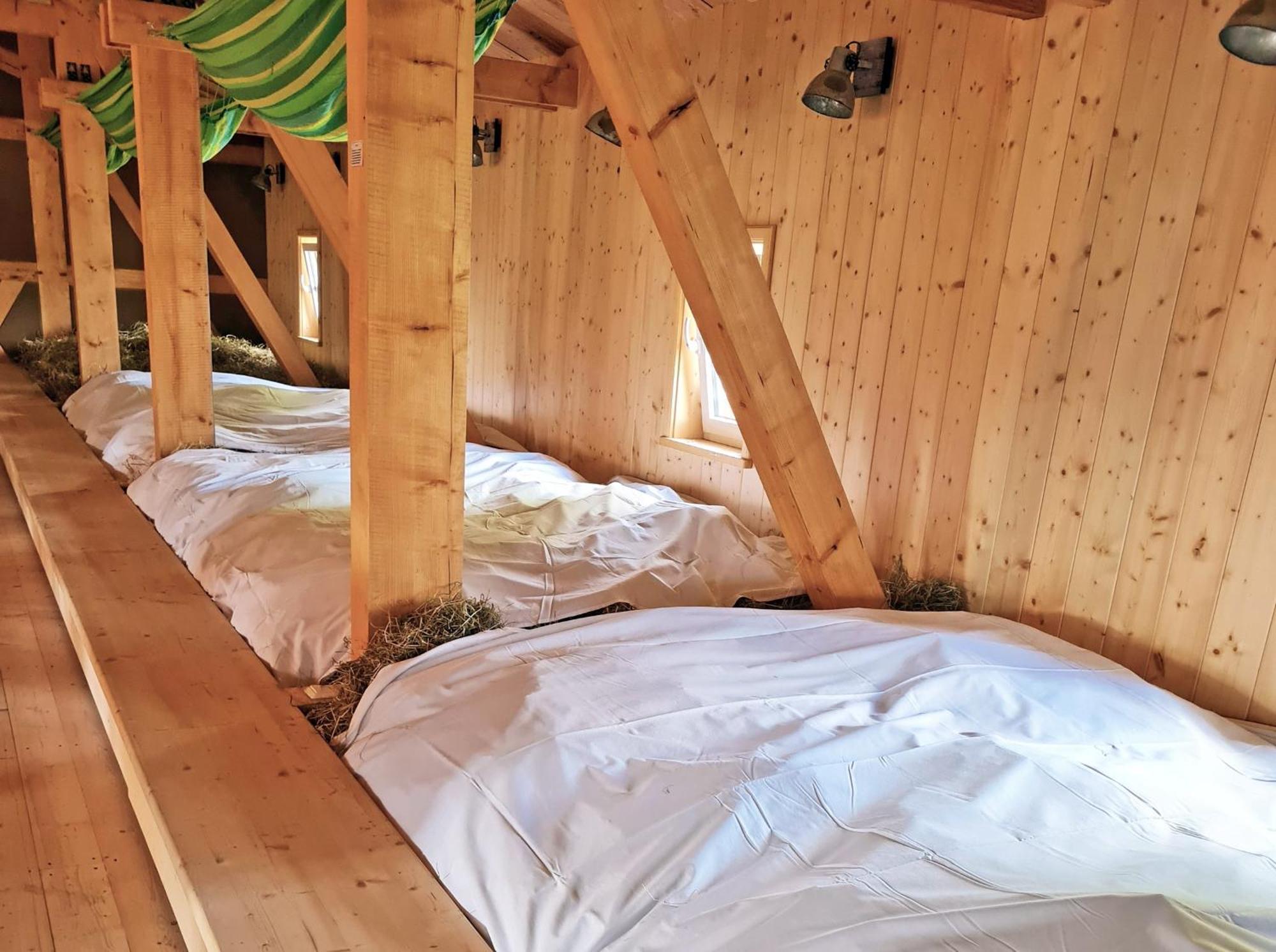 Familien- Und Apartmenthotel Lerchenberghof Walddorf  部屋 写真
